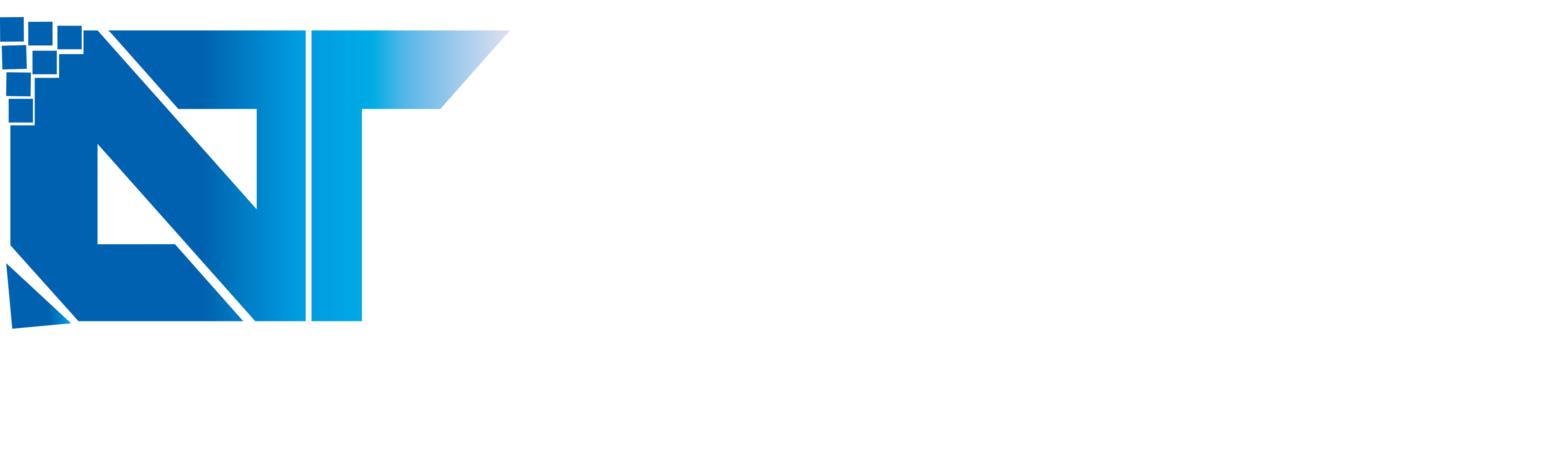 SMM Panel Pro Logo